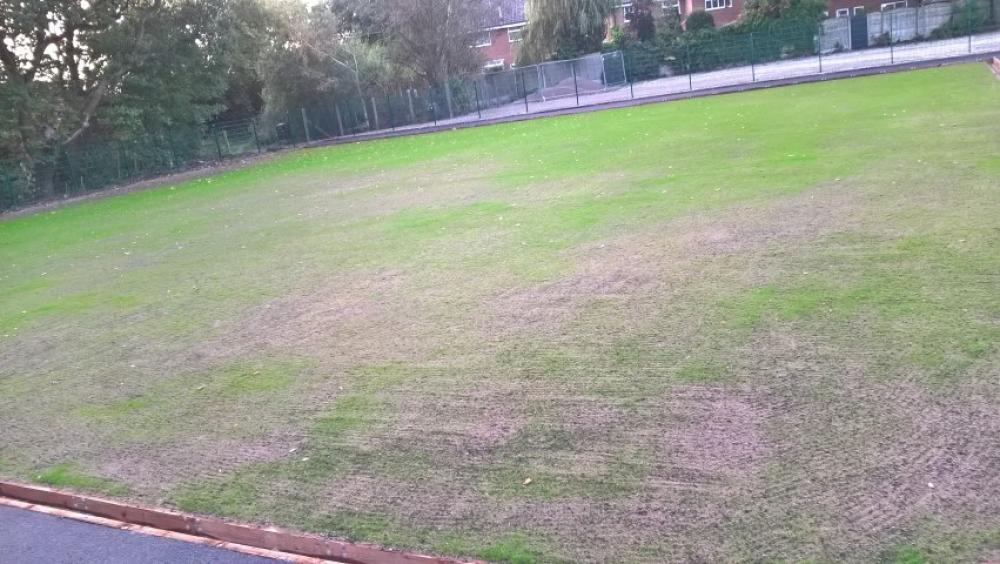Bowling Green build and Club - Freshly seeded site just showing through
