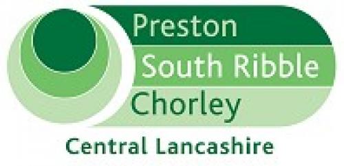 Local Plan - Issues and Options Document Consultation